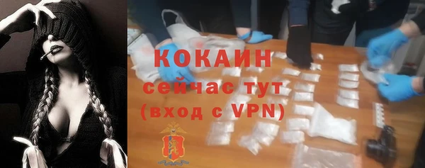 соль ск Нея