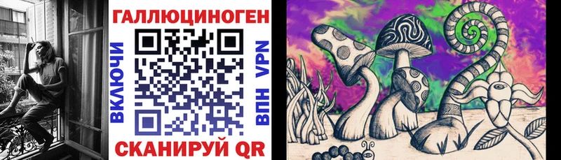 Псилоцибиновые грибы Psilocybe  Зерноград 