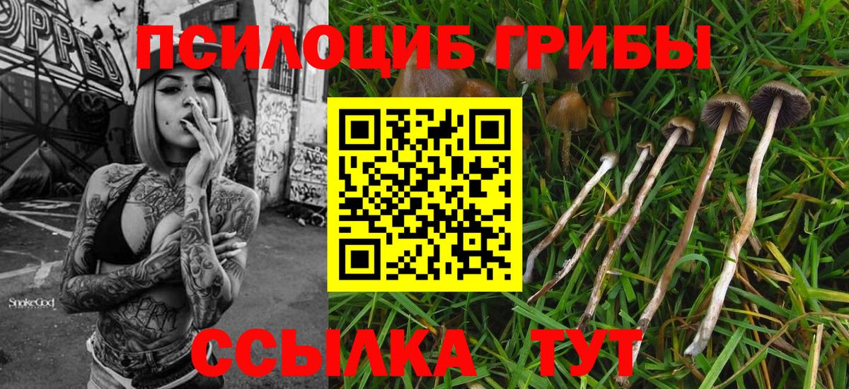 Галлюциногенные грибы Psilocybe  Вход с VPN  Псилоцибиновые грибы MAGIC MUSHROOMS  Зерноград 