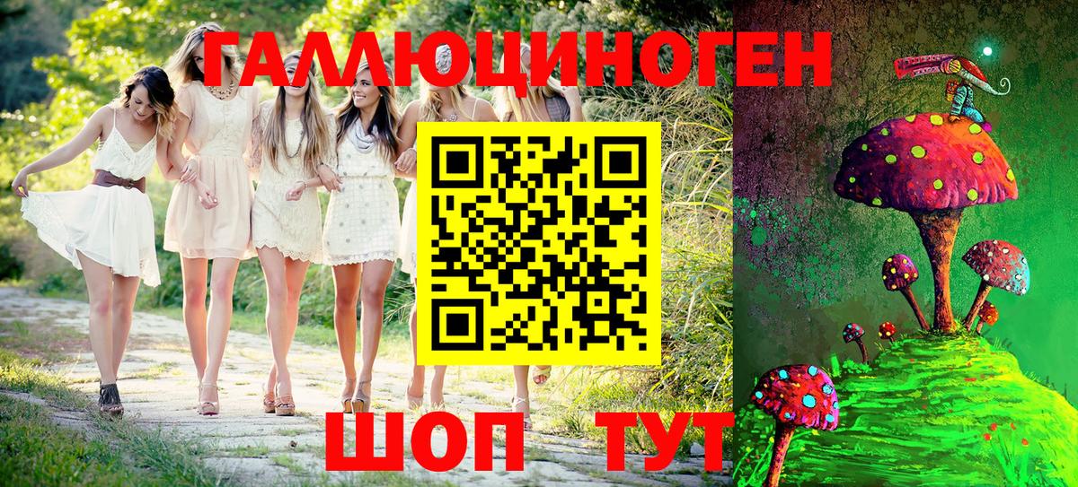 Галлюциногенные грибы Psilocybine cubensis  Псилоцибиновые грибы Psilocybe  Зерноград 